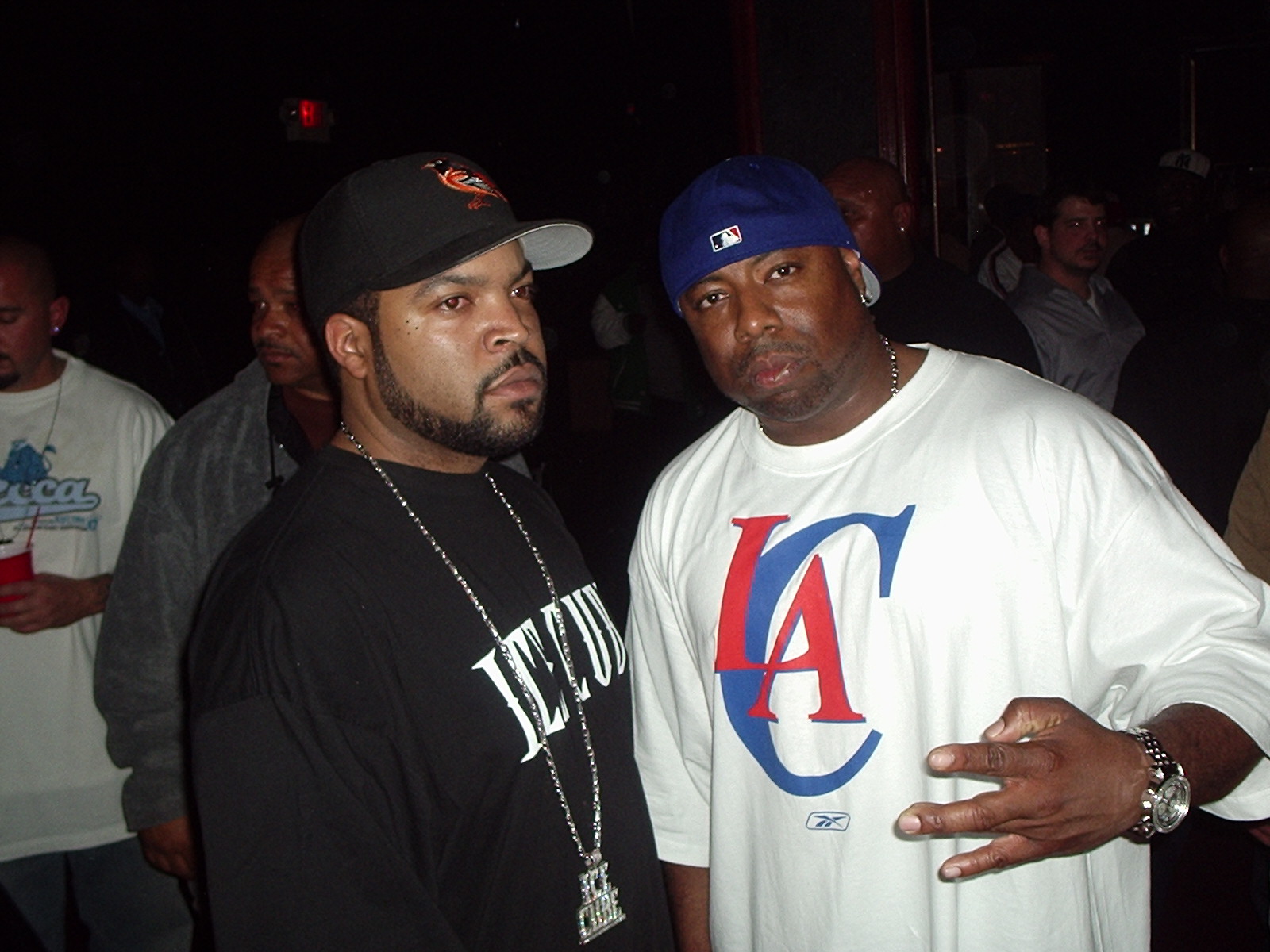 ice_cube_dub_c(dubcnn)